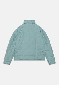 The North Face REVERSIBLE SHASTA JACKET UNISEX - Vinterjacka - muted pine
