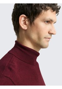 Weinroter Rollkragenpullover mit geripptem Kragen, glatter Textur und figurbetontem Design. Seitenansicht hebt Hals- und Schulternähte hervor.