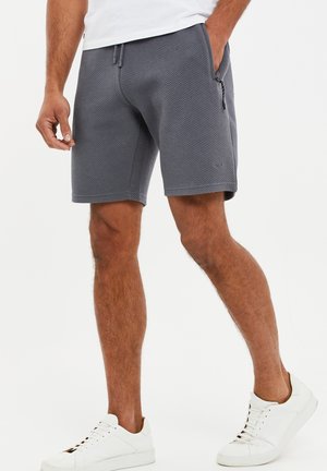 THBFERGIE - Shorts - slate waffle