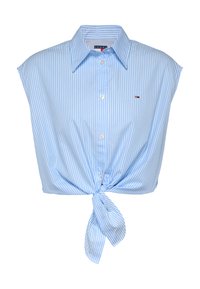 FRONT - Camicia - sugarplum blue stripe