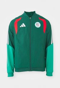 FAF PREMATCH JACKET - Ένδυση εθνικής ομάδας - team dark green