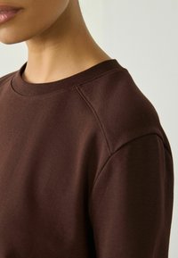 Brauner Sweatshirt mit Rundhalsausschnitt, ausgestattet mit einer samtigen Textur und Raglanärmeln, die eine entspannte Passform und ein minimalistisches Design betonen.