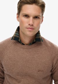 Bruine gebreide trui met een ronde hals en raglanmouwen, gelaagd over een kraag van een groen en geel geruit shirt. Subtiele merkidentificatie op de trui.