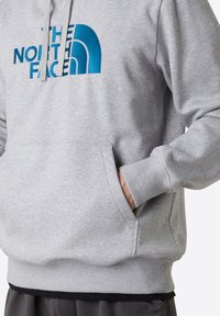 The North Face DREW PEAK - Luvtröja - tnf light grey heather