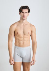 Szürke pamut boxer alsónadrág, puha elasztikus derékpánttal, amelyen a "Calvin Klein" márkaneve szerepel. Testhez simuló fazon, sima tapintás.