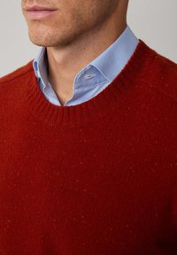 Roter Strickpullover mit geripptem Rundhalsausschnitt, strukturiertem Stoff und kleinen Sprenkeln. Darüber getragen über einem hellblauen karierten Hemd.