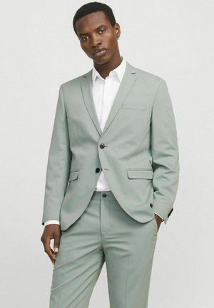 Light green suit with two buttons, notch lapels, and flap pockets. Paired with a white collared shirt, smooth fabric, fitted design.