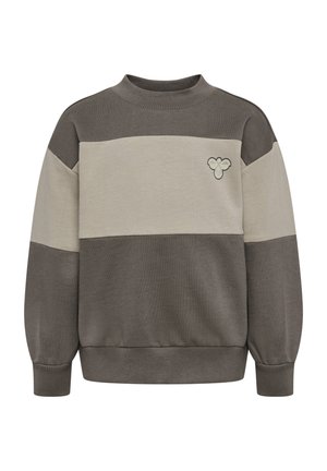 Bluza z długim rękawem i okrągłym dekoltem, z szerokimi poziomymi blokami kolorów w szarości i beżu oraz małym haftowanym logo na piersi.