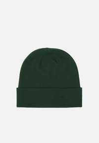 The North Face NORM BEANIE - Gorro - pine needle