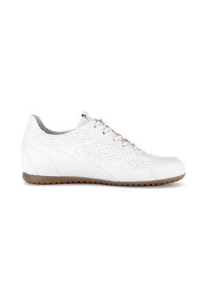 SNEAKER LOW - Sneakers laag - weiss