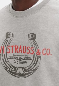 Sudadera gris con un gráfico en negro y rojo de un herradura y el texto "Levi Strauss & Co." Tejido suave y texturizado, diseño de cuello redondo.