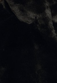 Gros plan d'un pelage noir doux et dense avec de subtiles réflexions lumineuses mettant en valeur sa texture lisse.