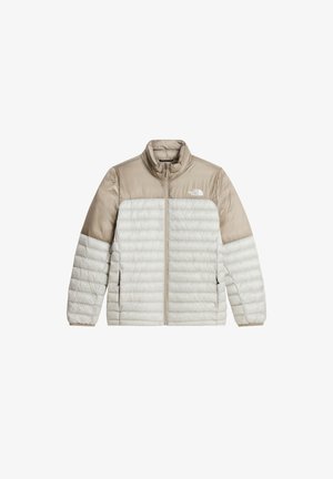 The North Face, M TERRA PEAK JACKET - Winterjacke - cumulus cloud stone sla