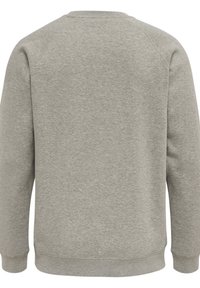 Grauer Pullover mit Rundhalsausschnitt, langen Raglanärmeln, gerippten Bündchen und Saum, aus weichem Baumwollmischgewebe gefertigt. Einfache Textur.