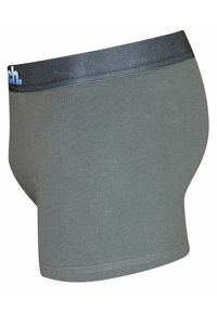 Graue Baumwoll-Boxershorts mit einem schwarzen Gummibund, der blaue Logotext aufweist. Glatte Textur, taillierte Passform, Länge bis zur Mitte des Oberschenkels.