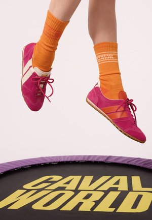 Caval, BALLET - LOW-TOP SNEAKERS - Baskets basses - raspberry pink