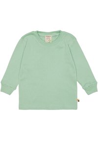 T-shirt a maniche lunghe color verde menta in cotone morbido. Presenta un collo rotondo e polsini a costine. Piccola etichetta multicolore sull'orlo.