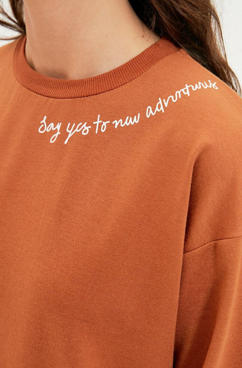 Damen Sweatshirts | Trendyol PARENT Sweatshirt brown/braun - YE80269 Damen Sweatshirts | Trendyol PARENT Sweatshirt brown/braun - YE80269