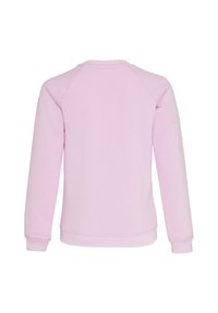 Rosa Sweatshirt mit langen Ärmeln, Raglanschnitt und rundem Halsausschnitt. Glatte Textur mit geripptem Saum und Bündchen.