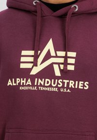 Sudadera color burdeos con un gran logo gráfico en crema que incluye estrellas y franjas. Cuenta con cordones y un bolsillo tipo canguro en la parte frontal.