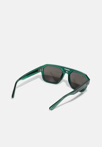 Ray-Ban UNISEX - Ochelari de soare - transparent green