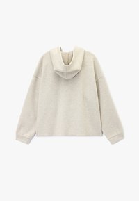 Hellgrauer verkürzter Hoodie aus weichem Stoff. Verfügt über eine Kapuze mit Kordelzug, lange Ärmel und gerippte Bündchen. Glatte Textur mit minimalen Nähten.