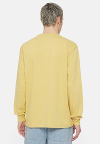 Dickies LURAY POCKET - Mikina - fall leaf