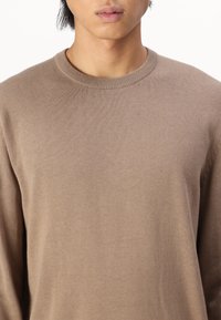 Only & Sons ONSALEX CREW NECK - Trui - desert taupe