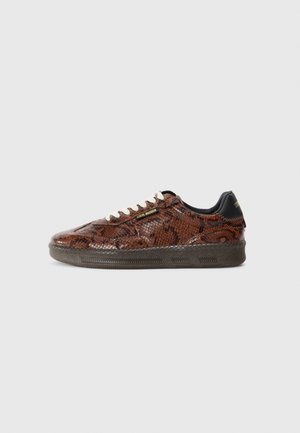 EUPHORIA - Trainers - brown/black