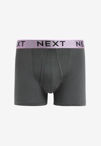 Pilkos boxer tipo kelnaitės su prigludusia forma, pagamintos iš švelnios medžiagos. Turi rožinį elastinį juosmenį su juodu "NEXT" prekės ženklu.