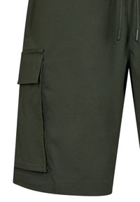 Pantalones cortos de carga verdes con un bolsillo lateral, fabricados en material suave. Cuenta con una cintura ajustable con cordón y un diseño de corte recto.