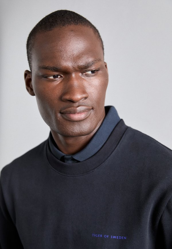 EMERSON - Sweatshirt - light ink3