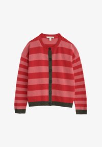 Ei valittu, pink bright shape rose dew