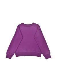 Purple sweatshirt featuring a crew neckline, ribbed cuffs, and a relaxed fit. Made from soft fabric with a smooth texture.