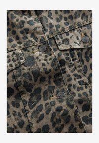 Vybráno, leopard