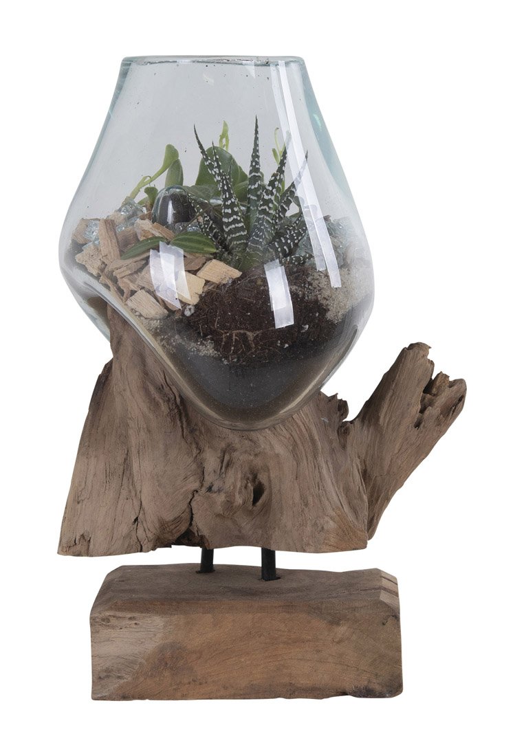 Terrario in vetro trasparente con piante e dettagli in legno, a forma di bulbo, su una base in legno naturale con una finitura strutturata.