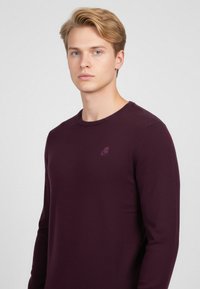 Ung man med blont hår som bär en mörklila långärmad tröja, vänd framåt mot en ljusgrå bakgrund.