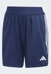 Pantaloni sportivi navy con cintura elastica, dotati di strisce laterali bianche e dettagli con logo. Il tessuto è liscio e leggero.