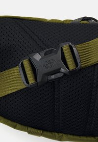 The North Face TERRA LUMBAR 3L UNISEX - Bæltetasker - forest olive/yellow silt