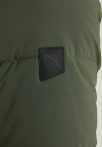 CHASIN' EXPLORER TECH - Žieminė striukė - dark green