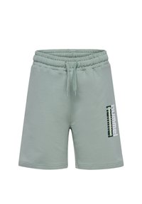 Non sélectionné, iceberg green