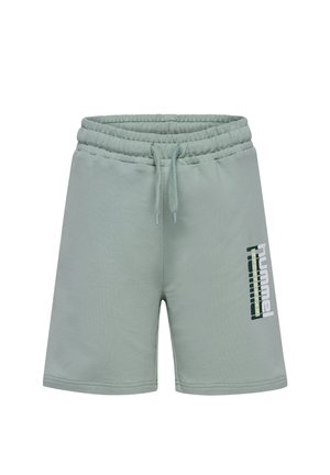 TUKAS UNISEX - Short de sport - iceberg green