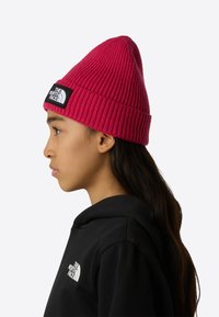 Magentanpunainen ribbineulottu pipo, jossa musta logoplässi. Henkilöllä on musta huppari, ja näkyvissä on sivuprofiili.