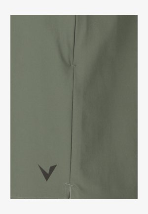 VIRTUS, VIRTUS SHORTS WASHIN - Kurze Sporthose - pine