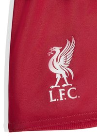 Röd tyg med en vit Liver bird-symbol och "L.F.C."-bokstäver, som representerar Liverpool Football Club på ett sportplagg.