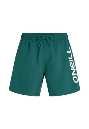 Grüne Badeshorts mit elastischem Bund und Kordelzug sowie großem weißem "O'Neill"-Logo auf der linken Seite.
