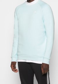 Ljusblå sweatshirt med rund halsringning, raglanärmar och ribbade ärmslut. Har subtil tonalt varumärke på bröstet. Mjuk tygtextur.