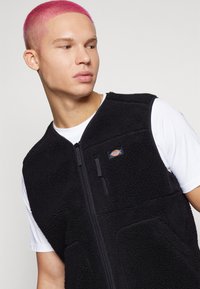 Dickies MOUNT HOPE VEST - Vest - black