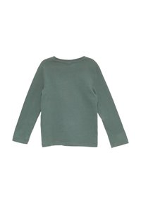 Lange mouwen t-shirt in gedempt groen katoen met een ronde halslijn en dubbelgestikte zomen. Geen patronen of accenten aanwezig.