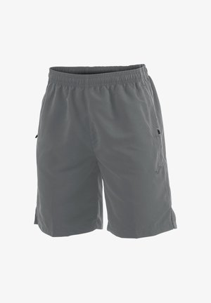 Grijze heren sportshorts met elastieke tailleband en zijzakken met rits, tot op de knie met een klein merklogo op het linkerbeen.